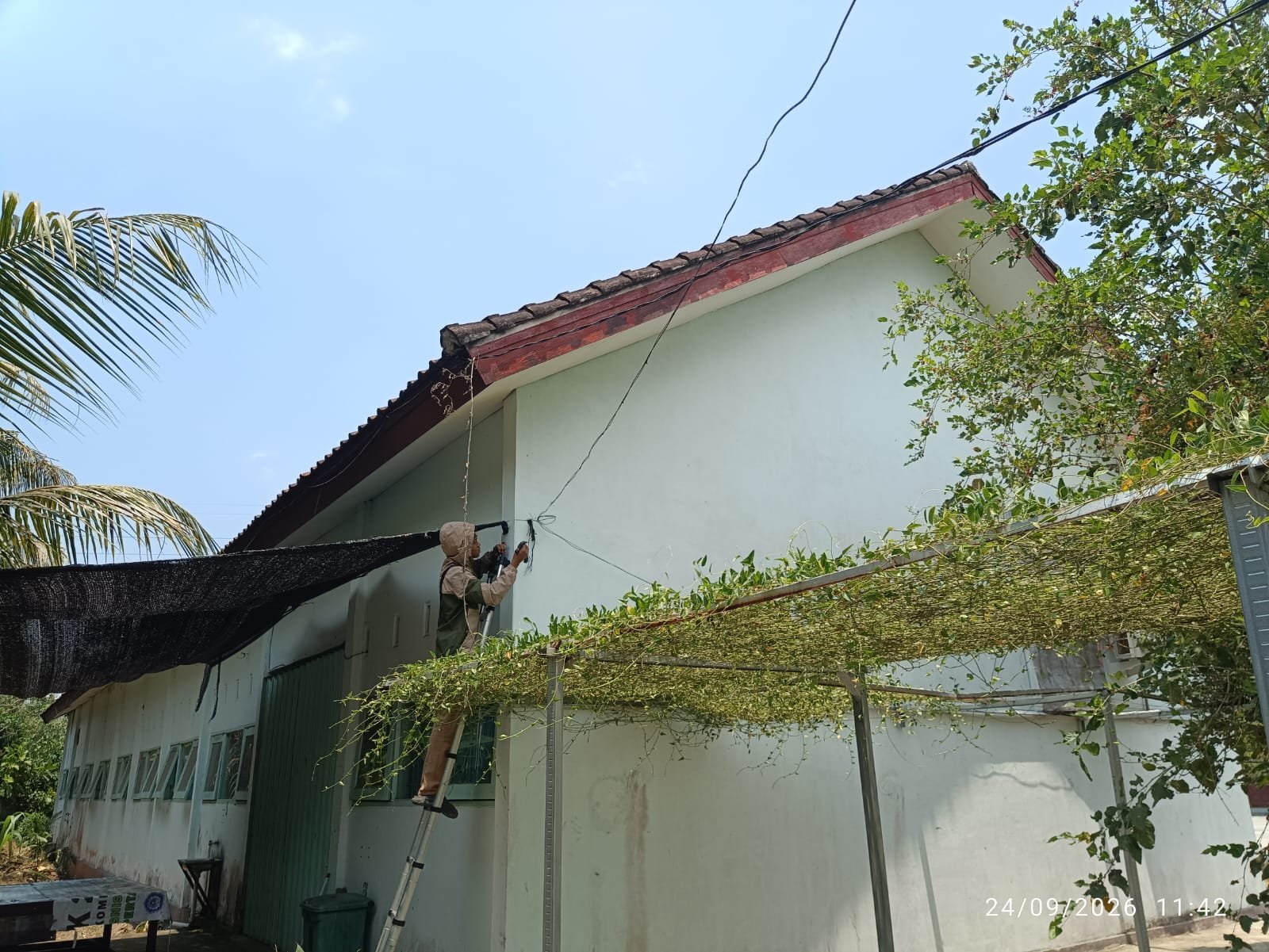 Perbaikan Jaringan Sekolah